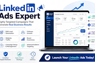 set up and manage highly targeted linkedin ads campaigns