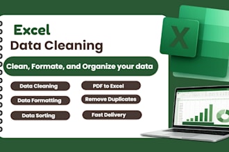clean, format, and organize excel data