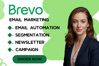 setup brevo email automation, audience segmentation and newsletter campaigns