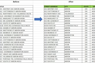 provide accurate excel data formatting  and cleaning service