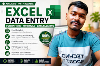 do excel data entry, formatting,formulas and spreadsheet work