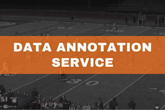 do precise data annotation, bounding box and data labeling