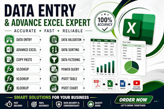 do professional excel data entry data cleaning and filtering