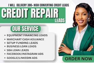 deliver 300 credit repair leads, credit repair service, facebook ads, google ads