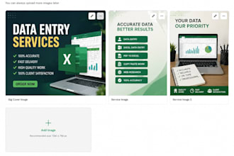 do data entry, excel data entry, PDF conversion and web research