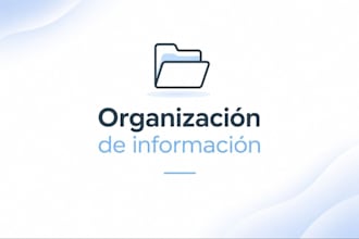 do data entry, excel tasks and organize your information