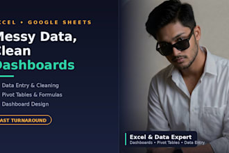 do excel data formatting and dashboard creation
