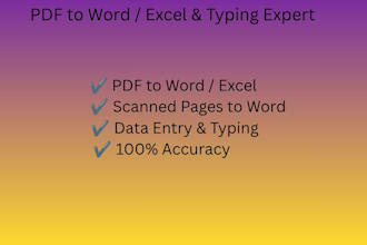 convert pdf to word or pdf to excel and typing tasks