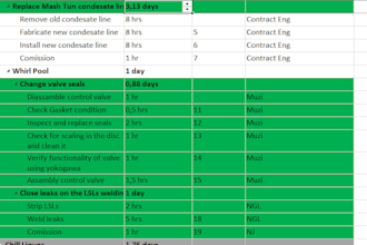 create a professional microsoft project schedule for you