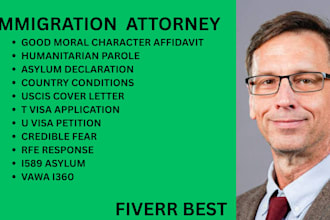 be your ny, ca,florida immigration lawyer for asylum,vawa and humanitarian cases