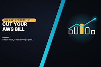 do an AWS cost optimization audit and savings plan