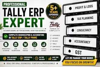 do professional bookkeeping and accounting in tally erp