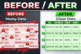 organize excel data build custom reports and cleanup spreadsheets