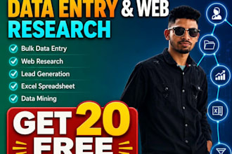 do bulk data entry, web research and excel spreadsheet