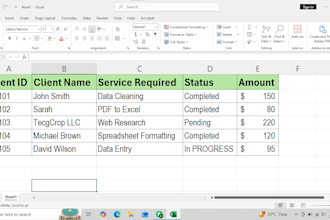 do professional data entry, excel and tally accounting work