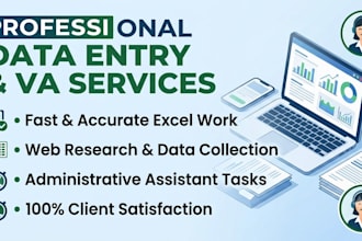 do professional data entry, excel data entry