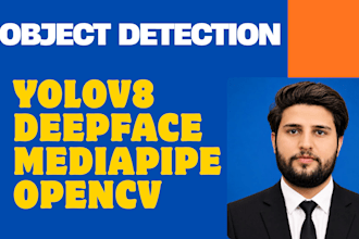 build custom object detection system using yolov5 or yolov8