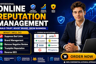 provide online reputation management ORM with reverse SEO and brand promotion