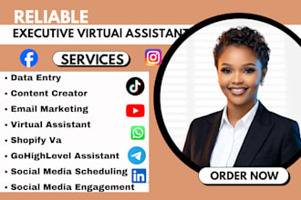 be executive virtual assistant, shopify va, data entry, CRM, ghl, admin task