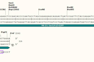 design primers, guide rnas, plasmids, and homologous arms