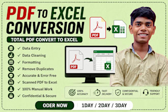 convert PDF to excel manually