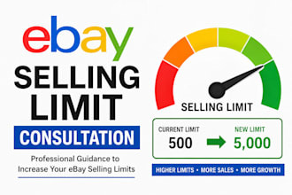 provide ebay selling limit consultation
