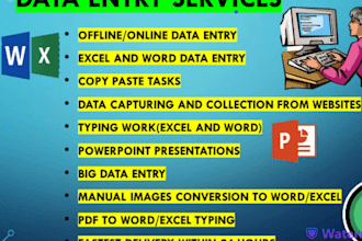 do accurate data entry, pdf word, excel and copy typing