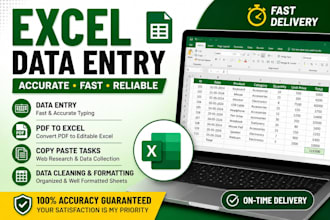 do excel data entry, PDF to excel, copy paste and spreadsheet formatting