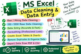do data cleaning, data entry, formatting or create table