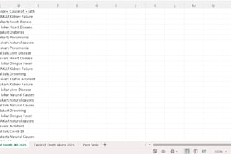 be your professional virtual assistant for data entry and excel