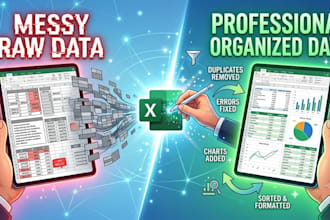 clean, format, and organize raw data in microsoft excel