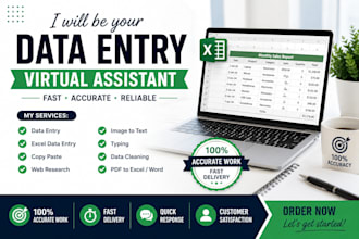 do accurate data entry, copy paste, web research and excel data entry