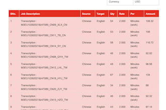 transcribe and translate english and simplified chinese content