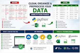 clean, organize and preprocess excel CSV data using python pandas