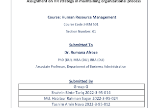 write professional assignments, essays and reports