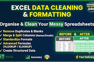 clean format and organize excel data