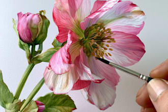 draw a botanical illustration