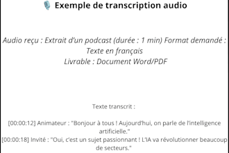 transcription francaise livraison rapide