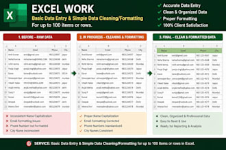 do data excel work and cleaning the data