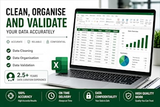 clean, organise and validate your data accurately