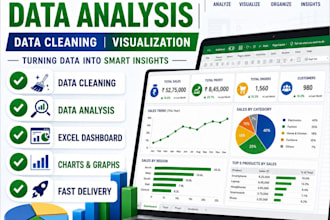 do data analysis, data cleaning and visualization in excel
