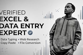 do professional excel data entry, web research, and copy paste work