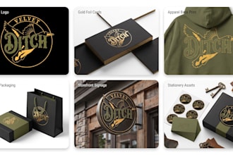 create professional art direction, logo, and brand identity