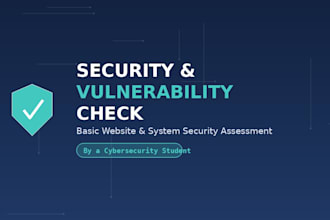 perform a basic website or system security and vulnerability check