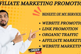 promote your website with organic traffic, affiliate marketing and link promotio