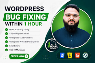 quickly fix wordpress bugs, fix wordpress errors, wordpress issues fixes, PHP