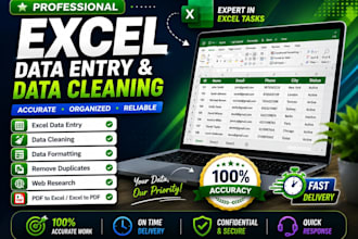 do excel data entry, data cleaning, formatting and web research