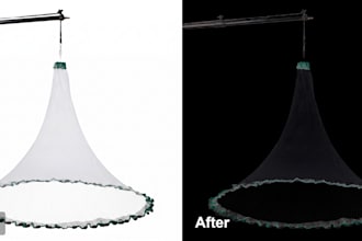 enhance, upscale and create transparent png images professionally