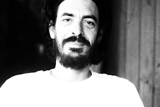 do any kind of writing and translation ue portuguese native