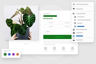 build a professional shopify store